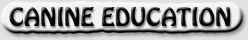 educacion canina