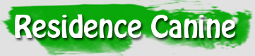 residencia canina