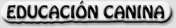 educacion canina