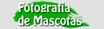 fotografia de mascotas